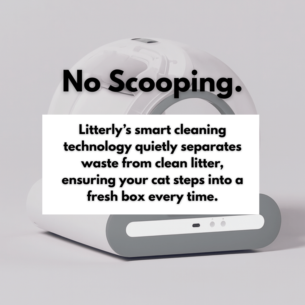Litterly smart cleaning technology product. Text saying: No Scooping. Litterlys smart cleaning technology quietly separates waste from clean litter, ensuring your cat steps into a fresh box every time.