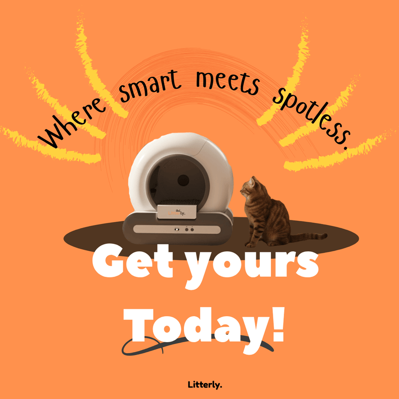 Promotional graphic for a self-cleaning litter box with a cat, on an orange background.