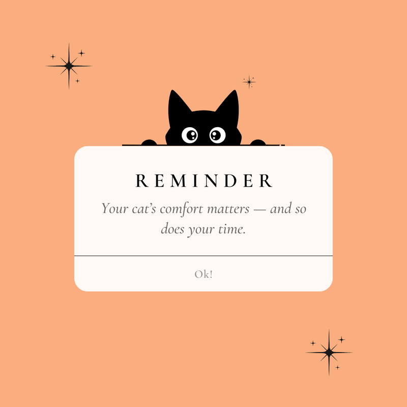 Illustration of a black cat peeking from behind a sign with a message on an orange background