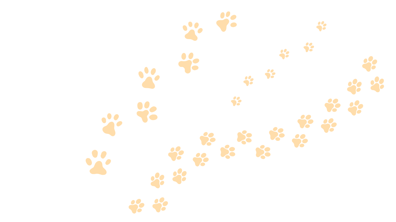 Pattern of small yellow paw prints on a white background